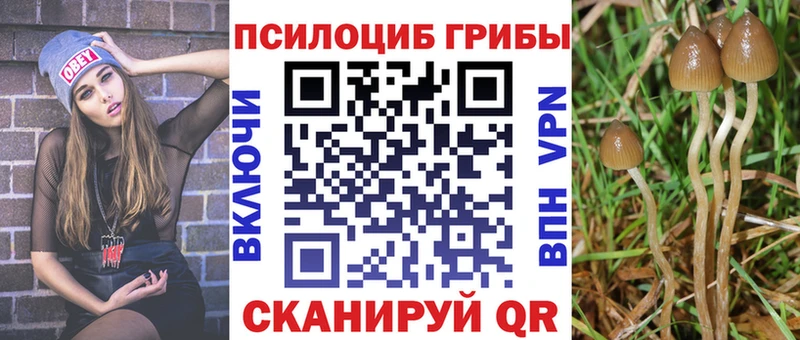 Псилоцибиновые грибы мухоморы  Анива 